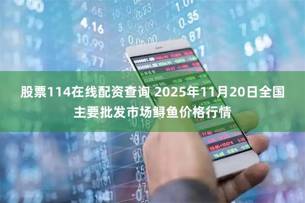 股票114在线配资查询 2025年11月20日全国主要批发市场鲟鱼价格行情