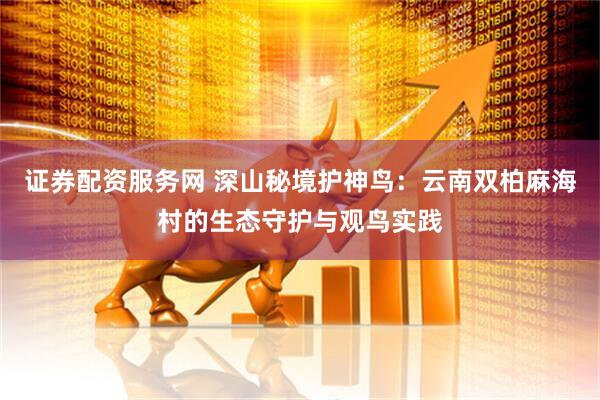 证券配资服务网 深山秘境护神鸟：云南双柏麻海村的生态守护与观鸟实践