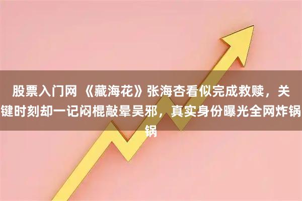 股票入门网 《藏海花》张海杏看似完成救赎，关键时刻却一记闷棍敲晕吴邪，真实身份曝光全网炸锅